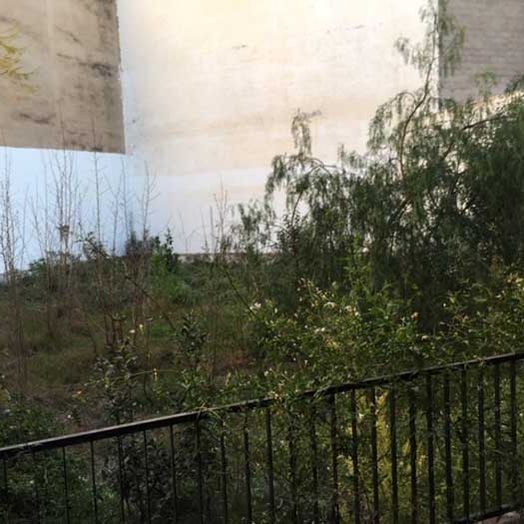 INMOBILIARIA EMILIO GARCIA BLAY jardín